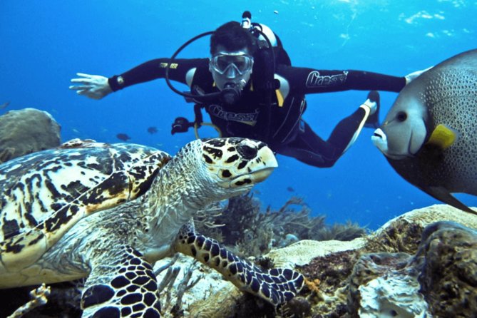 Scuba Diving Tour - Inclusions and Options for Participants