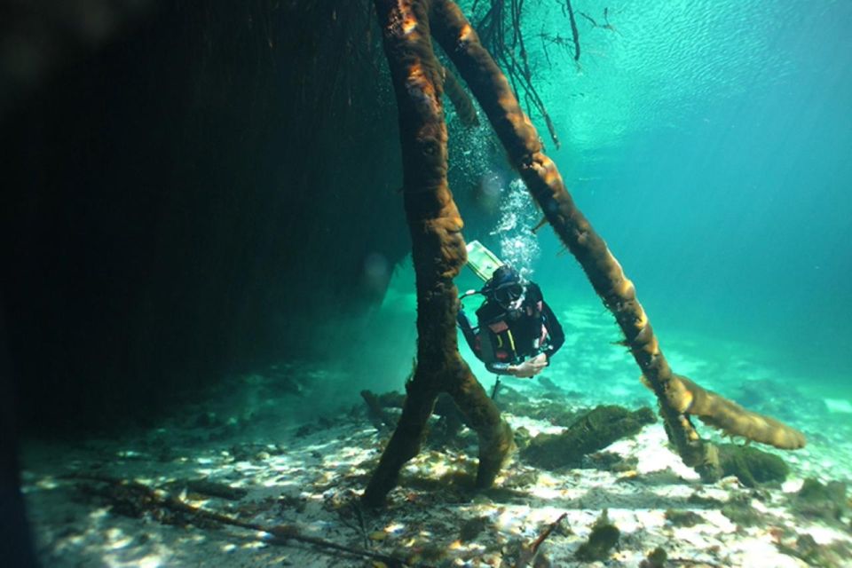 Scuba Diving Tulum Beginners: Explore the Underwater World - Location Highlights