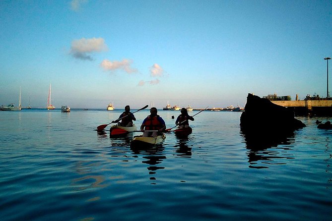 Sea Kayaking in Cascais Bay, Lisbon - Private Group - Expectations and Important Notes