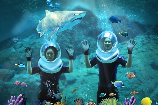 SEA LIFE Bangkok Ocean World & Madame Tussauds Combo Ticket - Additional Resources