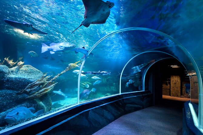 SEA LIFE Berlin Admission Ticket - Customer Reviews