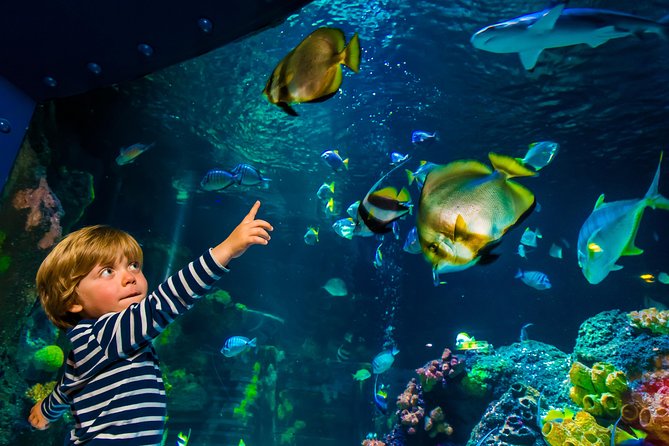 SEA LIFE Konstanz Admission Ticket - Cancellation Policy and Reservation