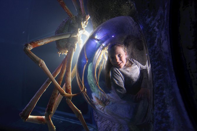 SEA LIFE Manchester Admission Ticket - Reviews