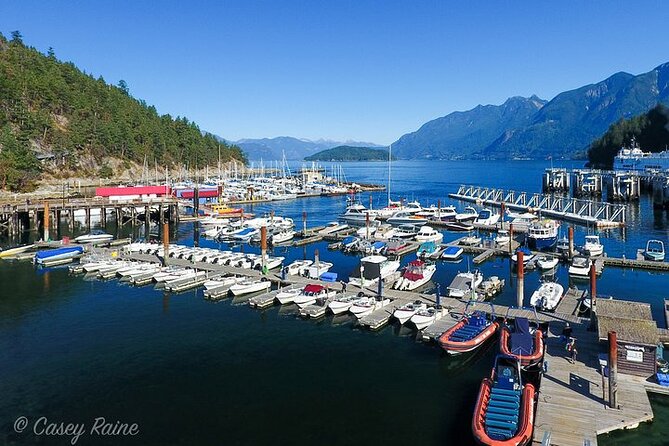 Sea Safari Tour From Vancouver - Reviews