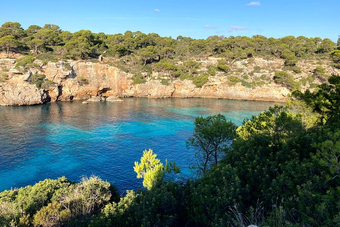 Secret Corners and Tastes of Mallorca by Private SUV Tour - Insider Secrets Revealed