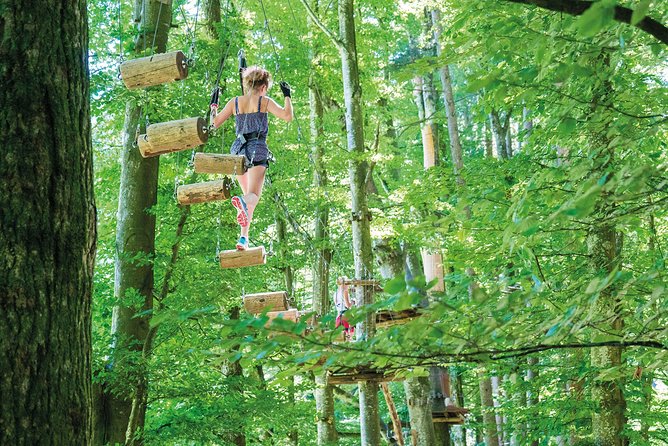 Seilpark High-Ropes Adventure Park Admission in Interlaken (Mar ) - Meeting and Location Details