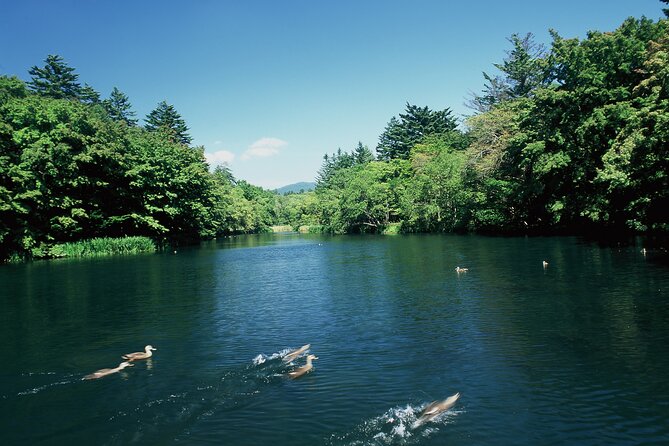 Self Guided Tour in Karuizawa With Bullet Train Ticket - Last Words