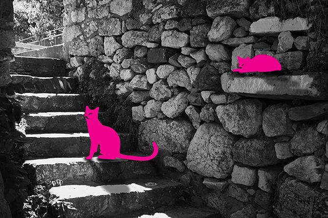Self-Guided Virtual Tour of the Cats of Athens: Cats on the Prowl - Uncovering the Furry Residents of Athens