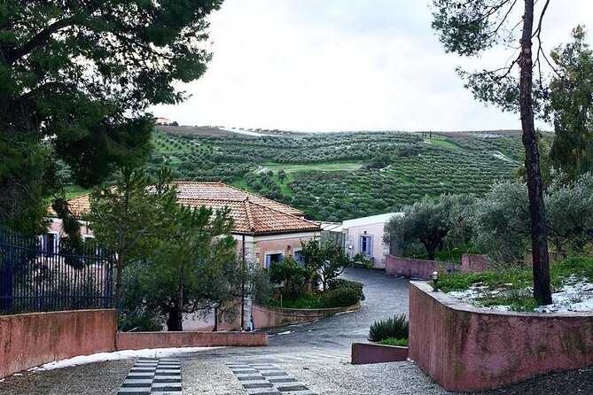 Semi- Private Olive Grove and Oilve Mill With Olive Oil Tastings - Authenticity of Reviews