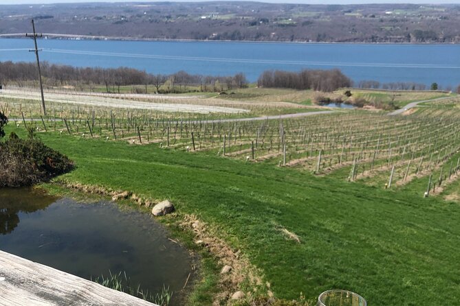 Seneca Lake South Wine Tastings Tour - Cancellation Policy