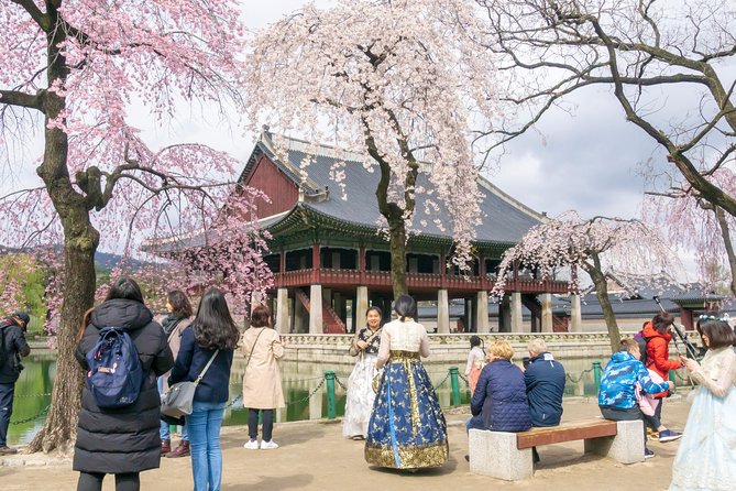 Seoul City Tour - Free Photo Service - Pricing Details