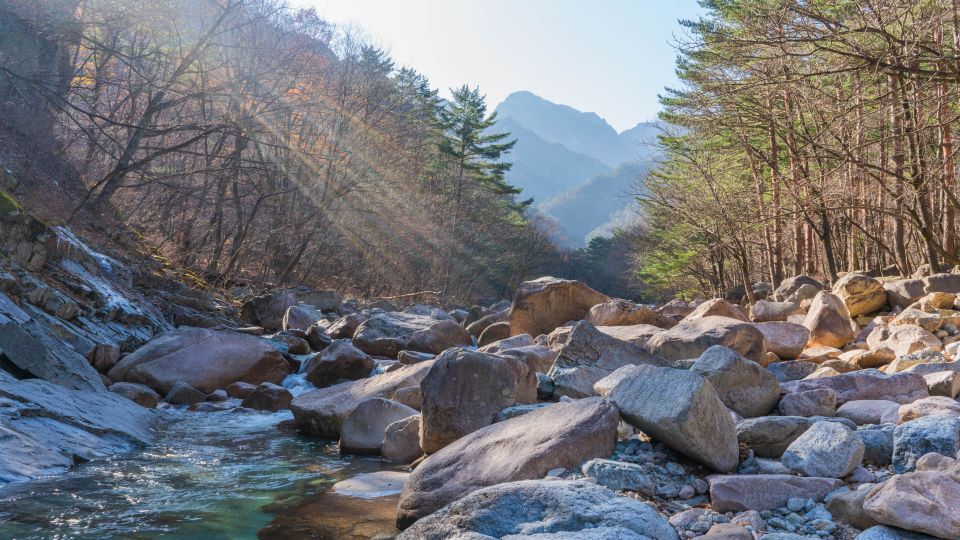 Seoul: Mt Seorak Hike With Naksansa Temple or Nami Island - Highlights of the Tour