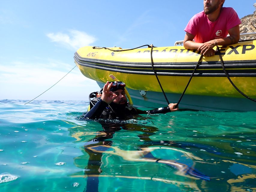 Sesimbra: Arrábida Marine Reserve Scuba Diving Experience - Ratings & Reviews