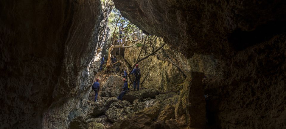 Setubal: Arrábida Natural Park Adventure Circuit - Language Proficiency