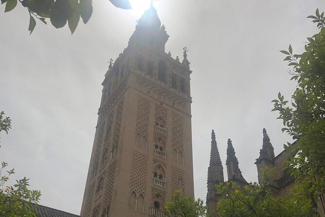 Seville : Private Custom Walking Tour With a Local Guide - Booking Assistance and Inclusions