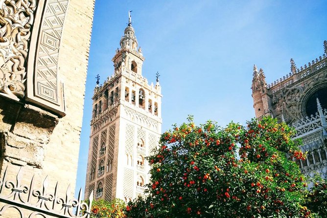 Seville Private Transfer to Lisbon With Optional Evora Stop - Authentic Reviews