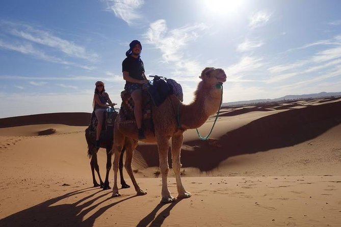 Shared 4 Days Tour From Marrakech To Fes Via Erg Chebbi Desert - Logistics and Pickup Details