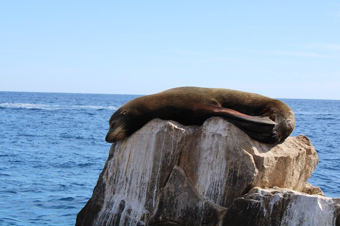 Shared Tour to the Arch of Cabo San Lucas - Meeting and Pickup Information