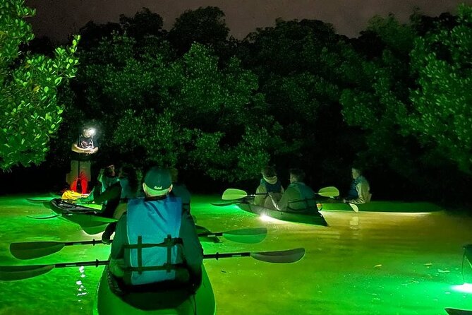 Sharkeys LED Illuminated Night & Sunset Tour on Glass Bottom Kayaks in Sarasota - Customer Reviews