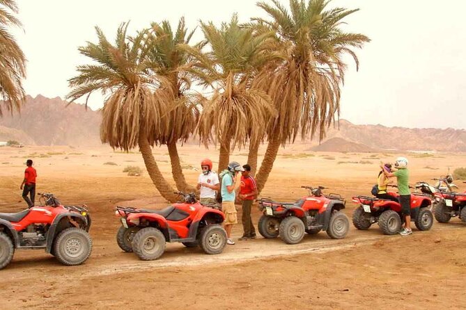 Sharm El Sheikh Super Safari 5*1 ATV Quad, Stargazing,Camel Ride,Dinner, Shows - Maximum Group Size and Operator
