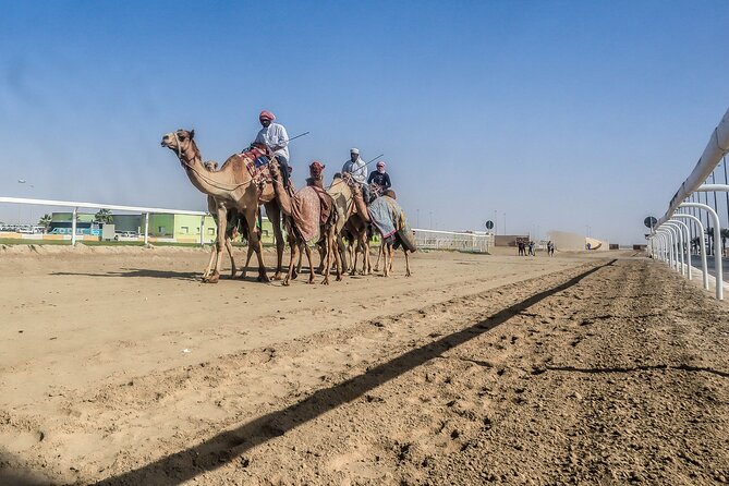 Sheikh Faisal, Camel Race Track Visit - Additional Information