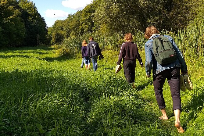 Shinrin Yoku in the Sonian Forest Belgium - Expectations and Accessibility