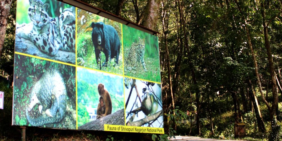 Shivapuri-Nagarjun Hiking - Scenic Highlights