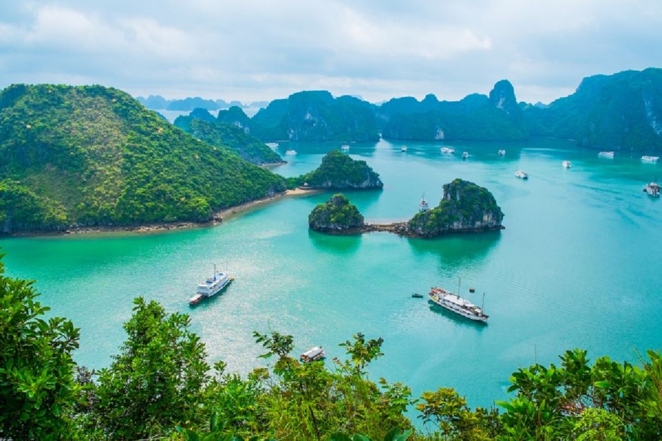 Shore Excursion: Halong Bay Cruise Day Trip From Halong Port - Experience Highlights