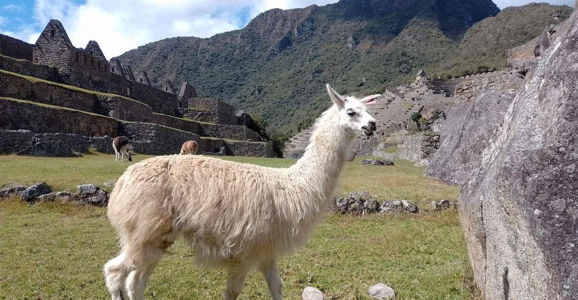 Short Inca Trail Hike, Sacred Valley, With Rainbow Mountain - Day 1 - Inca Trail to Machu Picchu