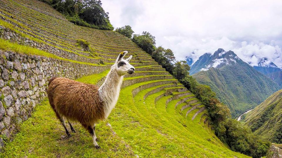 Short Inca Trail to Machu Picchu 2D/1N - Tour Details