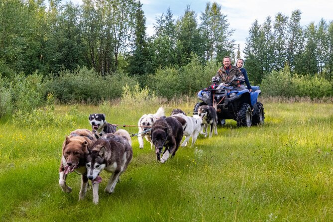 Short Norrbotten County Huskies Visit  - Kiruna - Meeting Details