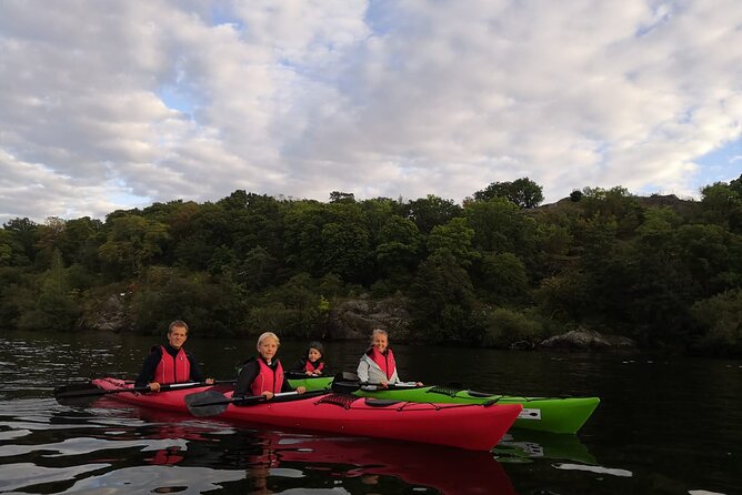 Short Stockholm Small-Group Kayaking Tour - Common questions