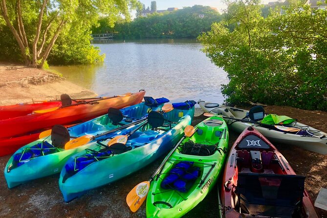 Siesta Key Guided Eco Tour - Cancellation Policy Overview