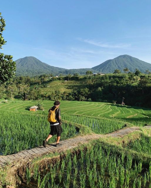 Sightseeing Full-Day Private Ubud Tour - Bali Attractions