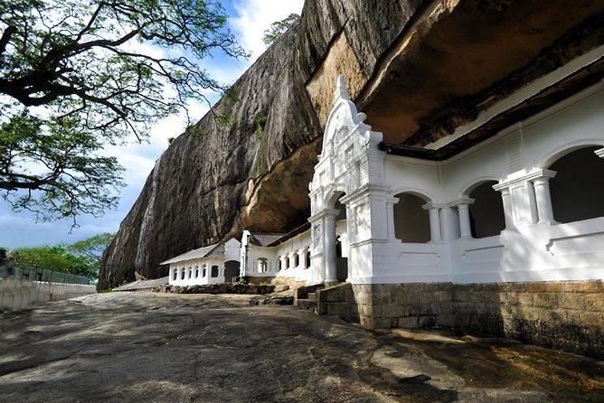 Sigiriya Rock and Dambulla Cave Temple Day Tour - Reviews and Ratings Overview