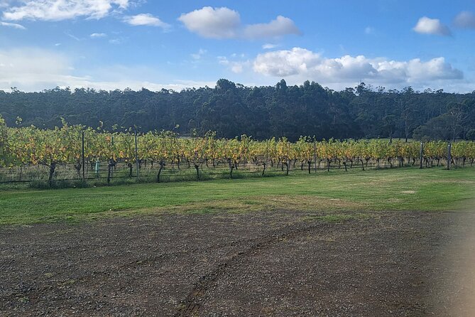 Signature Wine Tour From Hobart and Southern Tasmania - Cancellation Policies