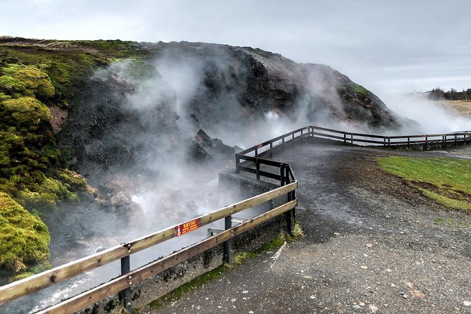 Silver Circle & West Iceland. Private Day Tour - Customer Reviews