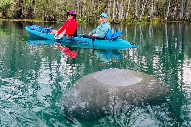 Silver Springs Glass Bottom Kayak Tour! - Additional Information