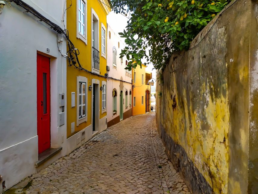 Silves, Caldas and Monchique Wine Tasting: Full Day Tour - Experience Highlights