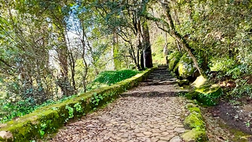 Sintra: Adventure Hike Around Sintra's Most Popular Castles - Duration and Availability Information