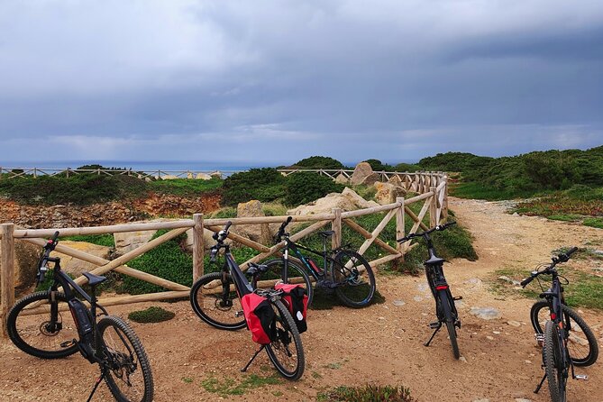 Sintra & Cascais De E-Bike Tour - Guide Qualities