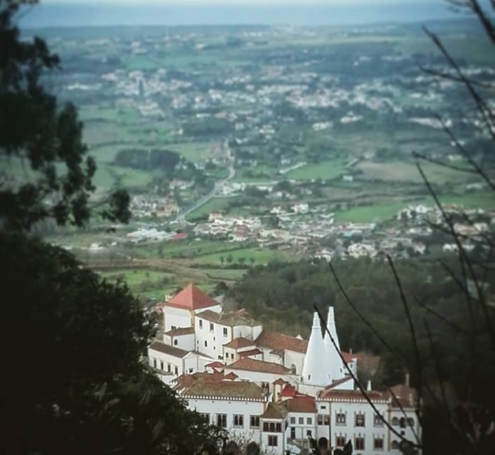 Sintra: Kingdom of Love Private Walking Tour With Historian - Expert Guide Insights