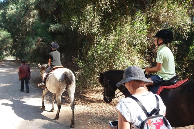 Skafidia Greece Horseback Riding on Beach and Forest - Maximum Travelers Limit