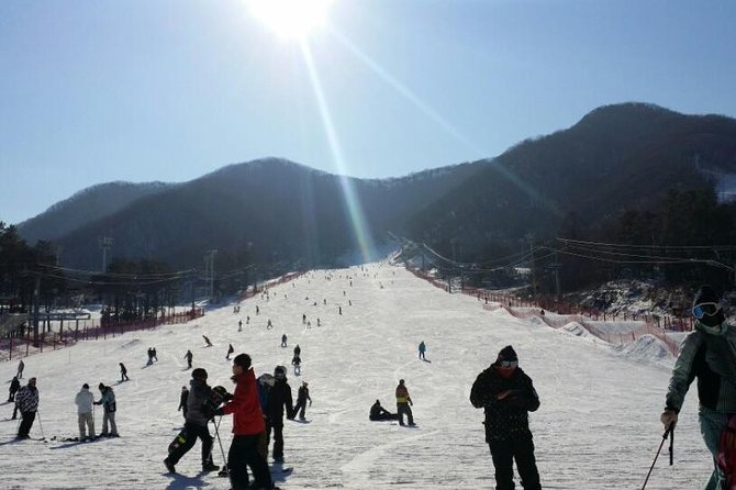 Ski Tour to Jisan Ski Resort From Seoul - Lunch Arrangements