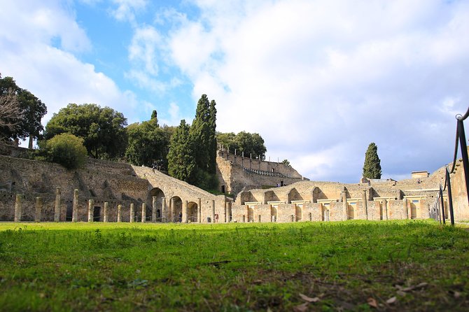 Skip-The-Line Best of Pompeii in One Day Tour W Local Guide & New Opened Houses - Traveler Reviews and Ratings