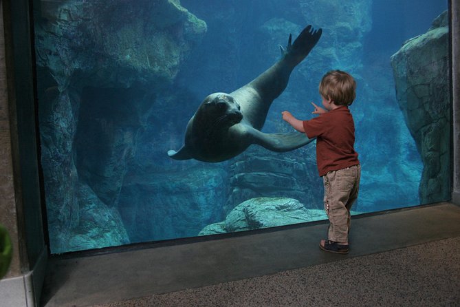 Skip the Ticketing Line: Aquarium of the Pacific General Admission Ticket - Family-Friendly Highlights