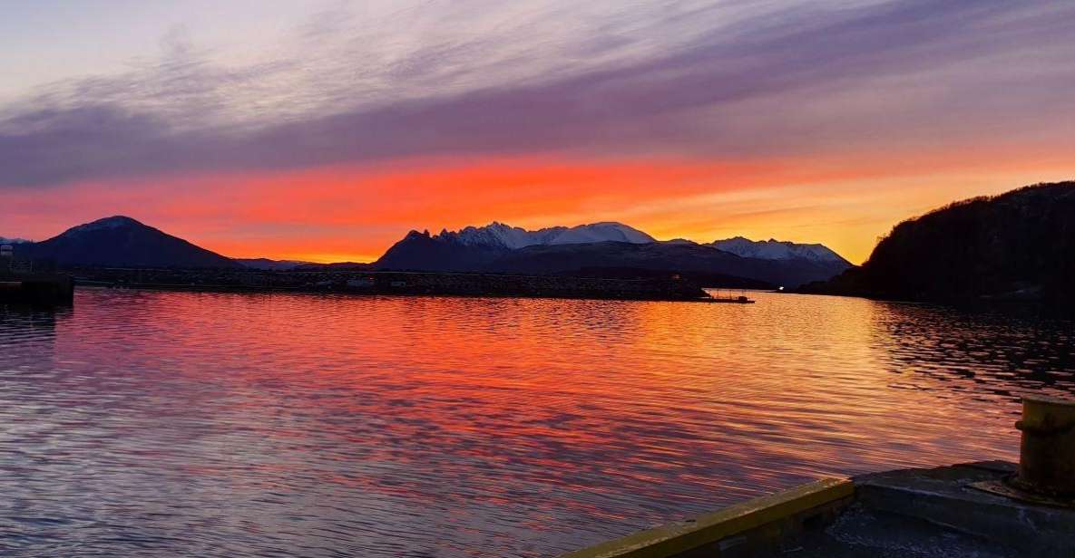 Skjervøy: Fjord Charter Adventure - Safety and Recommendations