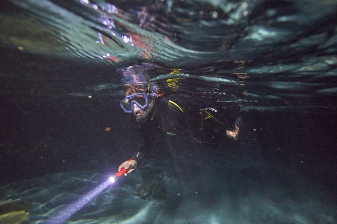 Small-Group 90-Minute Night Snorkeling Safari, Moorea - Traveler Experience