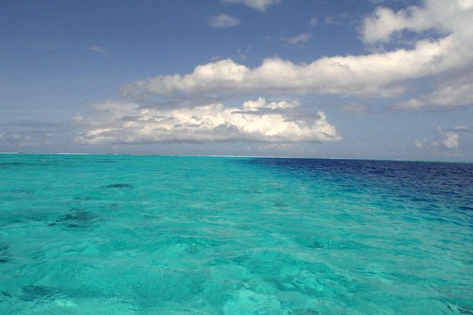 Small-Group Afternoon Snorkeling Tour of The Aquarium, Tahiti - Safety Guidelines