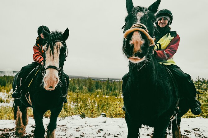 Small-Group Arctic Circle Horse Riding From Rovaniemi - Cancellation Policy